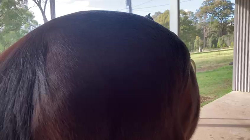 To clip he will be healthier